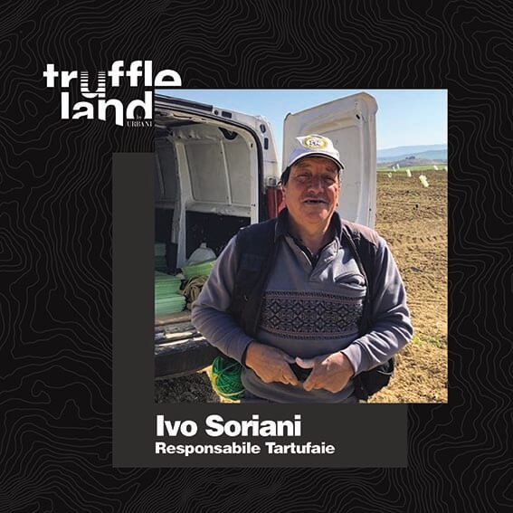 squadra-truffleland-ivo